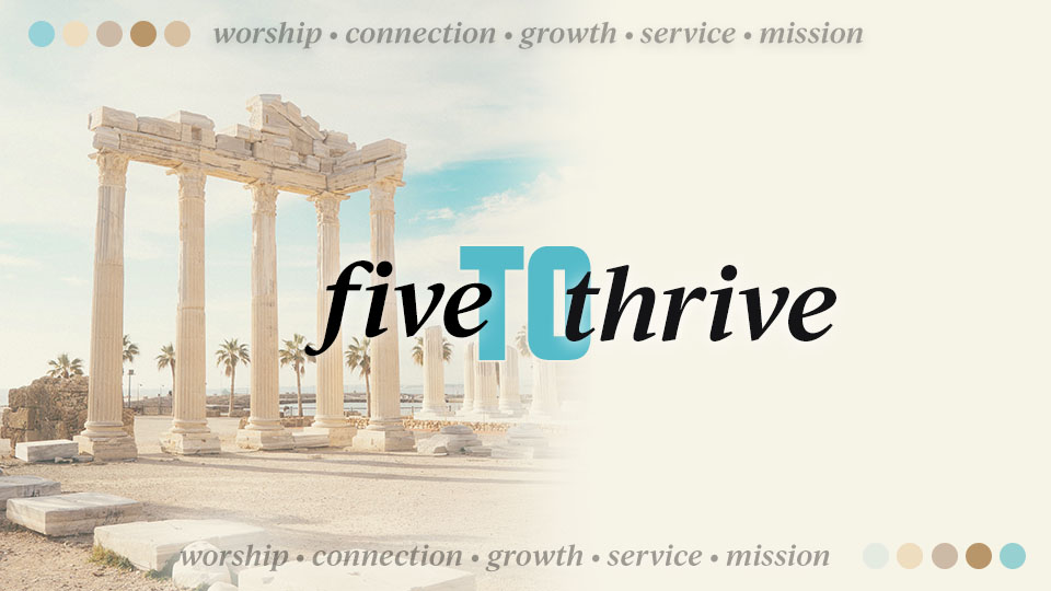 Made for More Than Music